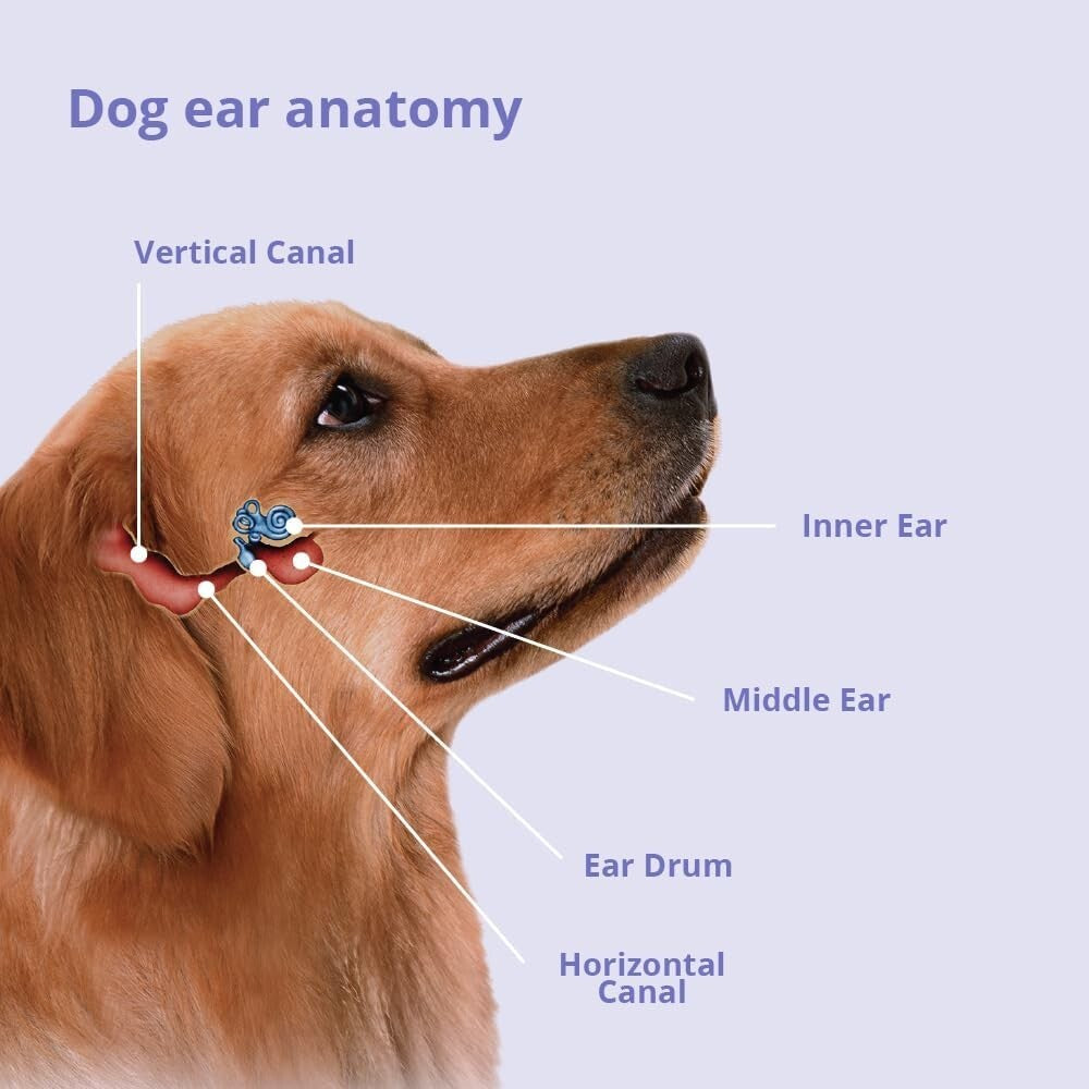 Safe Plus TrizEDTA Ear & Skin Flush for Dogs & Cats - Made in the USA, 12 oz