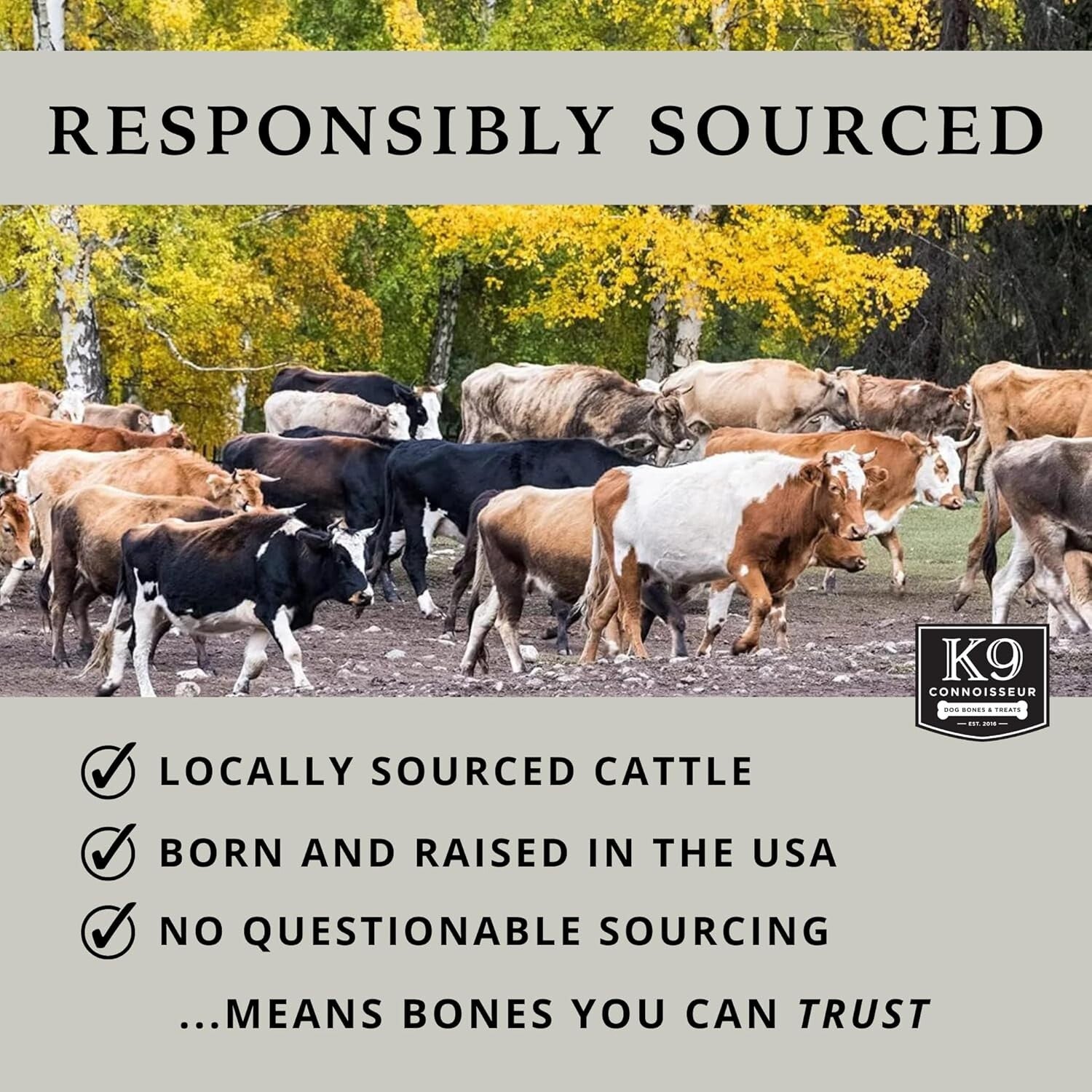 Healthy Low-Calorie Beef Chews for Aggressive Large Breed Dogs - 10 Count