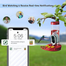 Load image into Gallery viewer, High-Definition Hummingbird Feeder Camera with Notifications – Family-Friendly