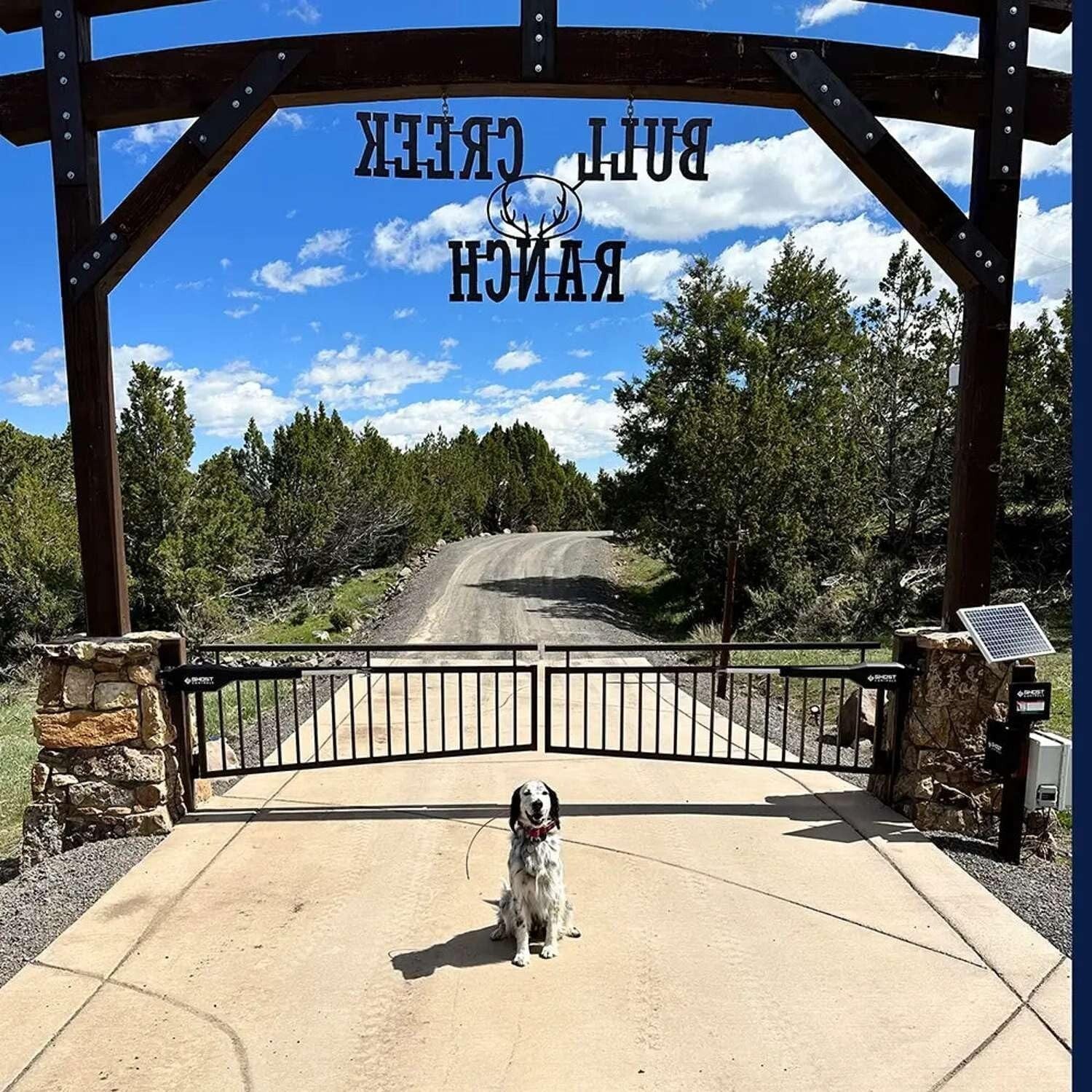 Heavy-Duty Dual Swing Gate Opener Kit with Long-Range Remote - 300 lb Capacity