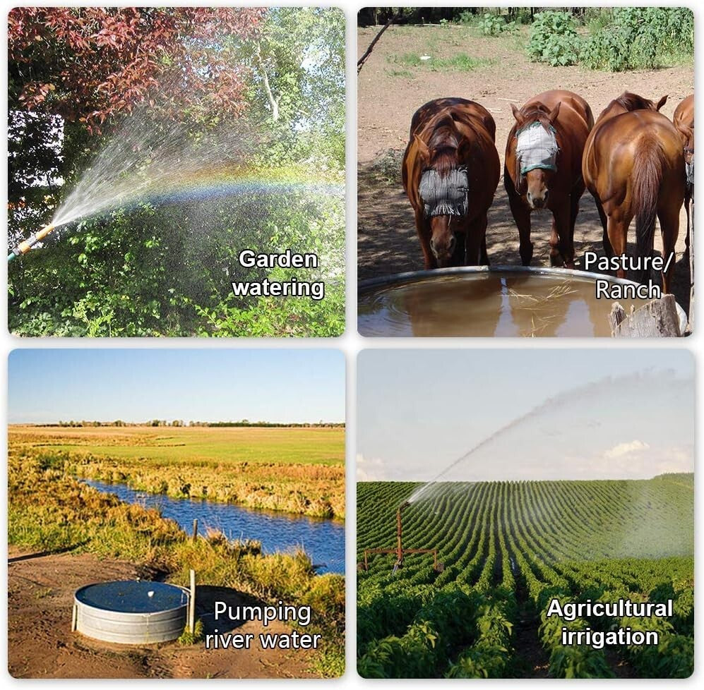 Durable Stainless Steel 12V DC Well Pump - Ideal for Livestock and Irrigation