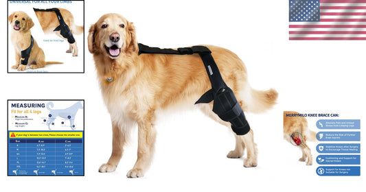 Lightweight Adjustable Dog Knee Brace for Joint Pain Relief & Mobility - Black