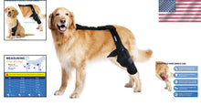 Load image into Gallery viewer, Lightweight Adjustable Dog Knee Brace for Joint Pain Relief &amp; Mobility - Black