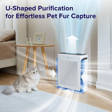 Load image into Gallery viewer, Smart 3-Stage HEPA Air Purifier with Auto Mode for Large Spaces - White Finish