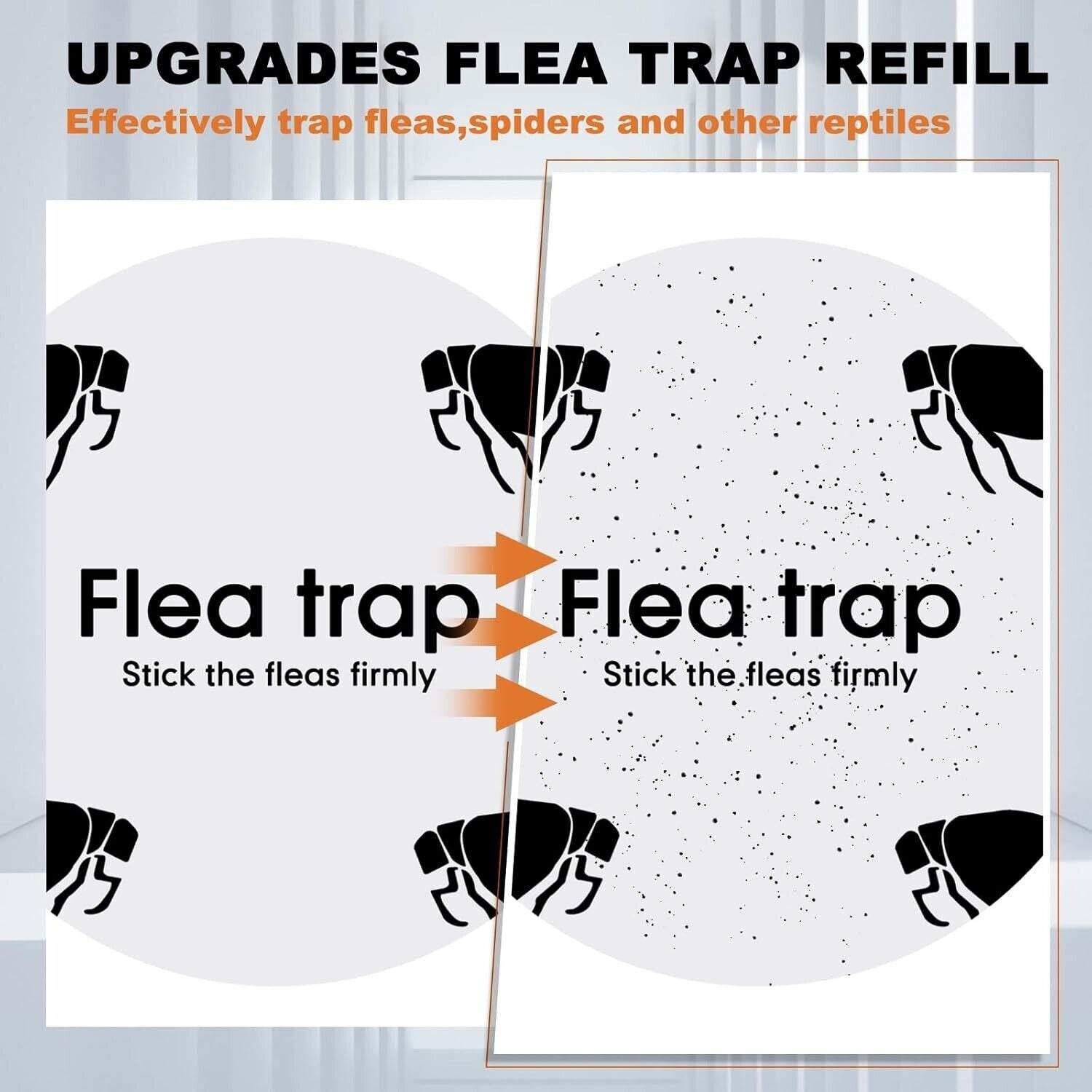 Durable Indoor Flea Light Trap Bundle - 4 Traps with UV Bulbs & Sticky Discs
