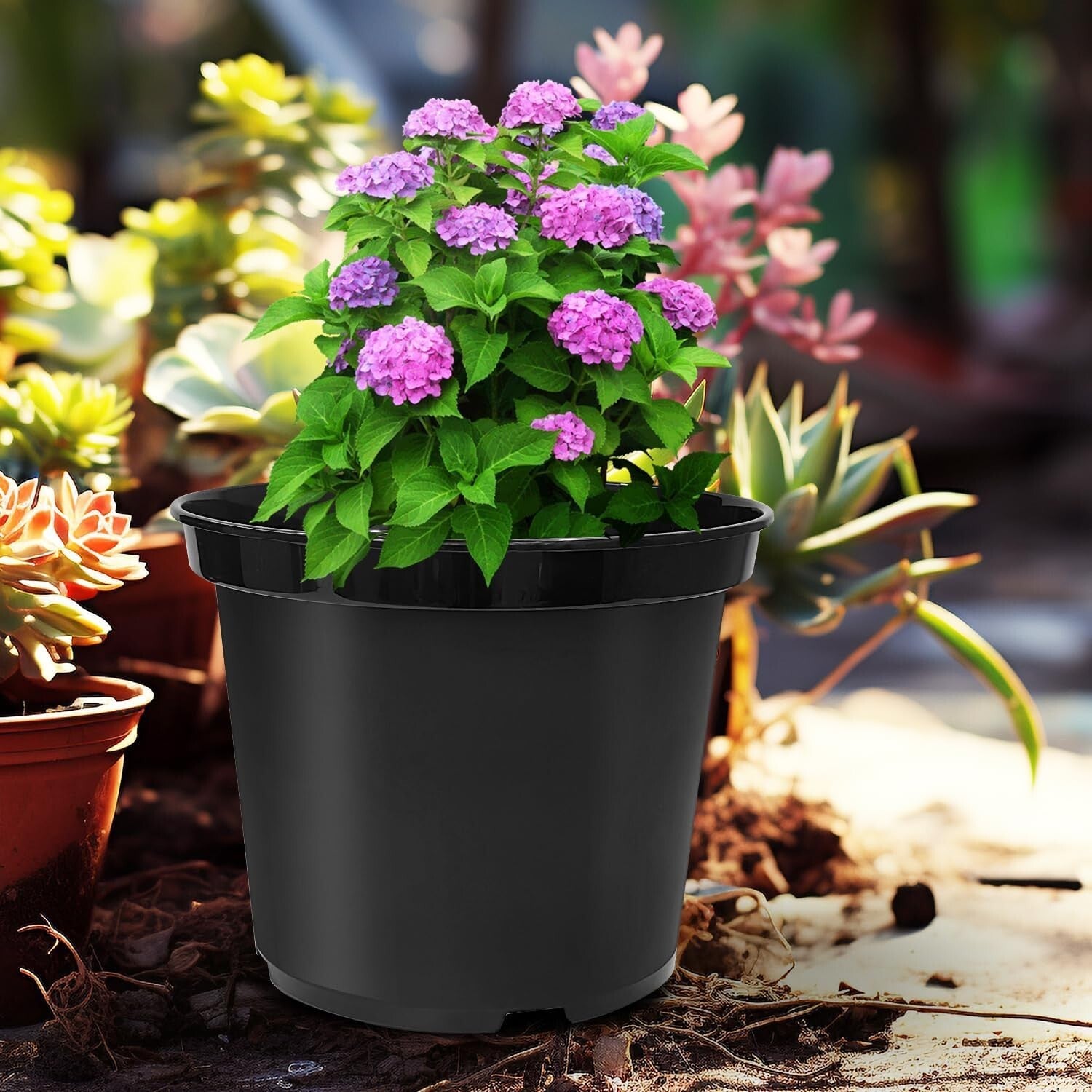 Durable Black 10-Inch Plant Pots with Drainage Holes – 10 Pack for Garden Lovers