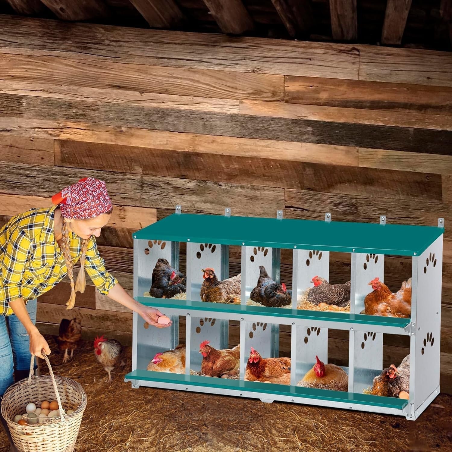 Safe & Easy Access 10 Compartment Chicken Nesting Box for Optimal Production