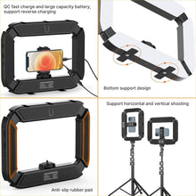 Load image into Gallery viewer, Portable Cell Phone Stabilizer with High-CRI Ring Light for Vlogging &amp; Streaming
