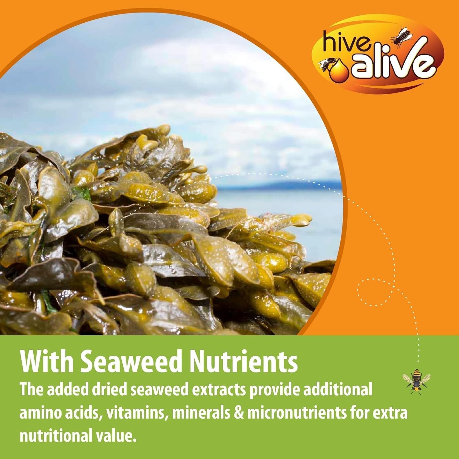 Bee Nutrition Boost: 10lb Pollen Patties with Seaweed Micronutrients & Aminos