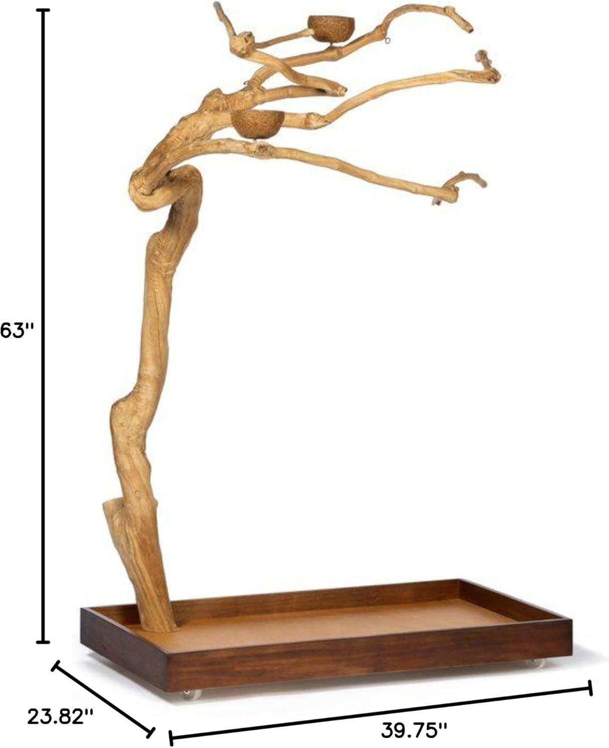 Medium Coffeewood Tree Playstand - Ideal for Cockatiels, Quakers, and Conures