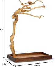 Load image into Gallery viewer, Medium Coffeewood Tree Playstand - Ideal for Cockatiels, Quakers, and Conures