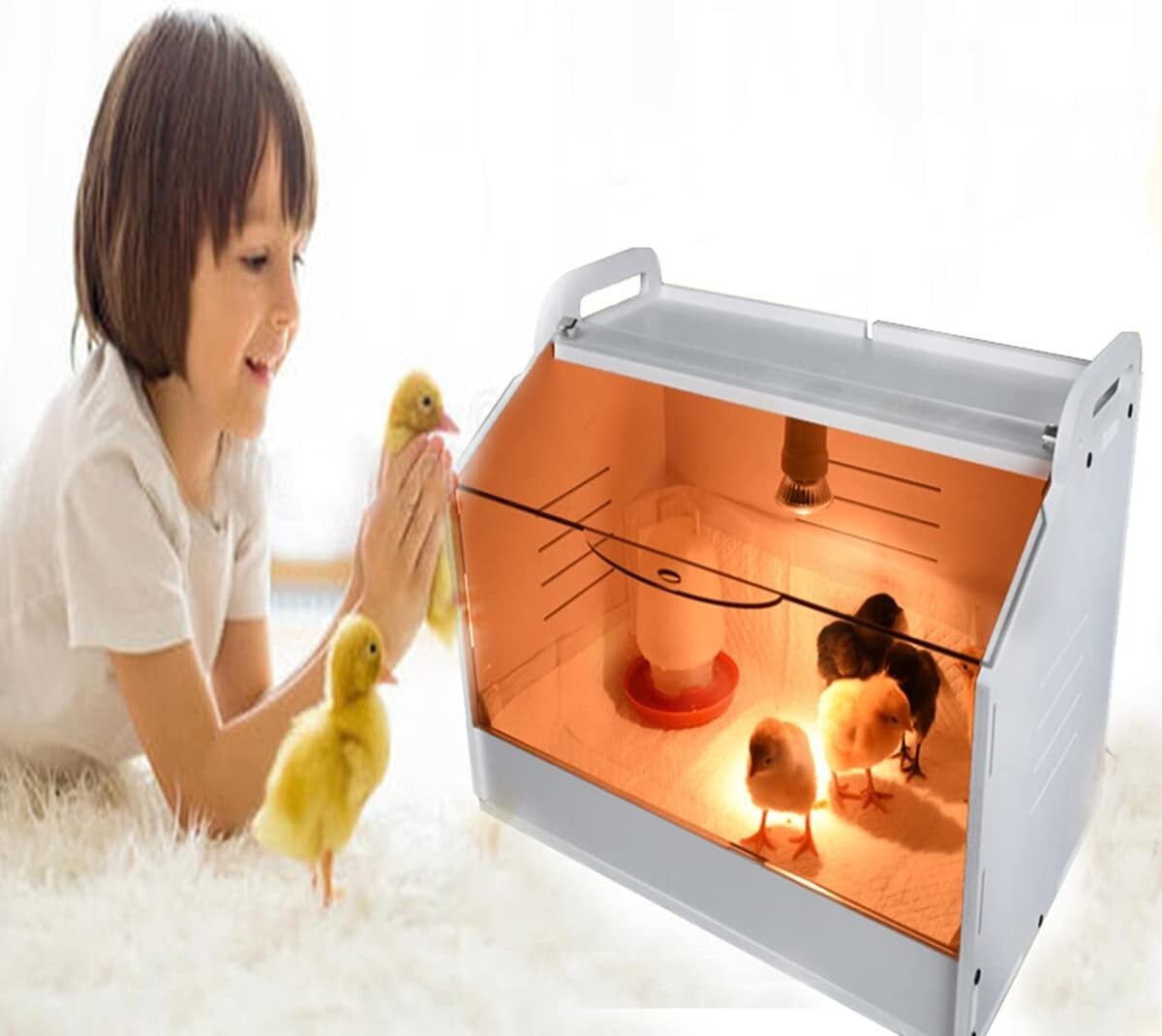 Compact Intelligent Brooder Box for 10-15 Chicks & Quail - Digital Temp Control