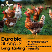 Load image into Gallery viewer, Weather-Resistant 25' x 50' Chicken Coop Netting - Protect Your Flock &amp; Garden