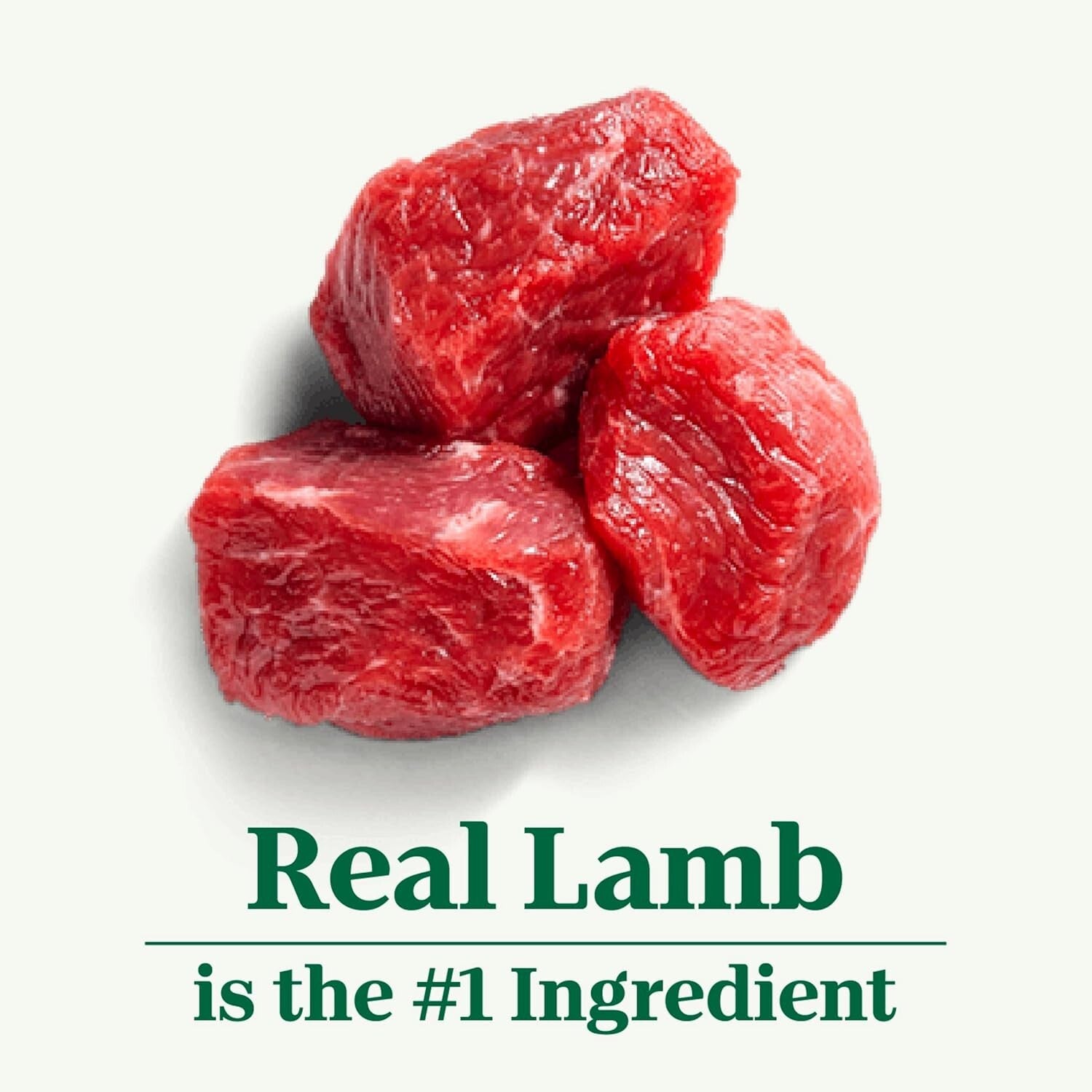 Nutro Natural Choice Healthy Weight Dry Dog Food - Lamb & Rice, 30 lbs. Bag