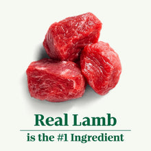 Load image into Gallery viewer, Nutro Natural Choice Healthy Weight Dry Dog Food - Lamb &amp; Rice, 30 lbs. Bag