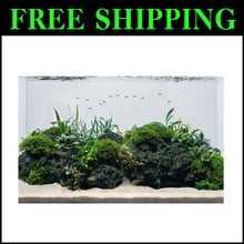 Load image into Gallery viewer, Porous Black Lava Stones (3-10in, 16lbs) - Perfect for Aquarium Setup and Health
