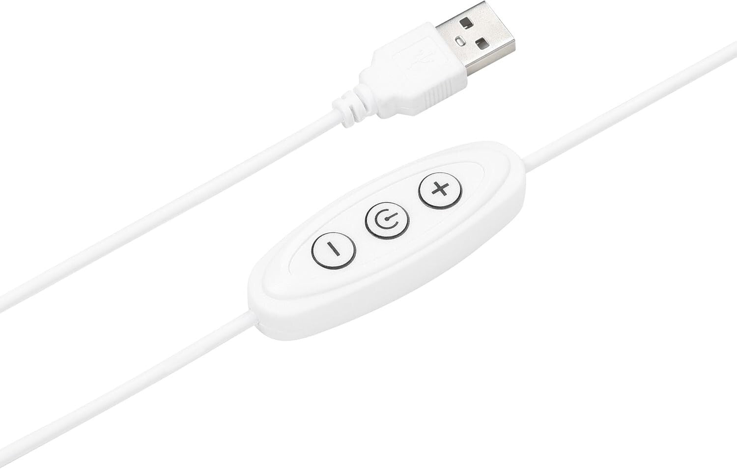 Dynamic NFL Neon Sign for Detroit Lions Fans - Adjustable Brightness & Style