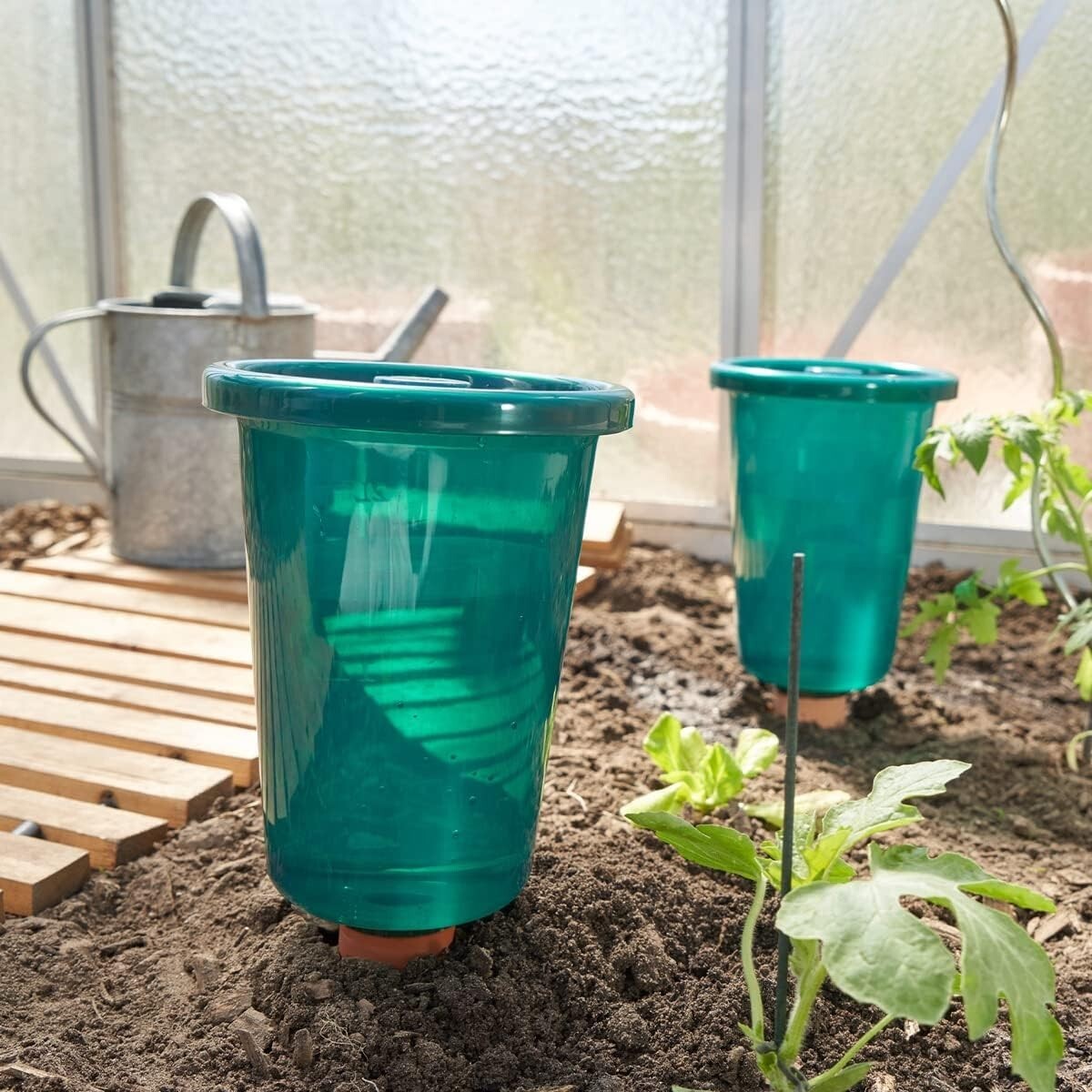 Eco-Friendly HYDRO CUP Planter Set - Water-Conserving 0.66 Gal System - 4 Pcs