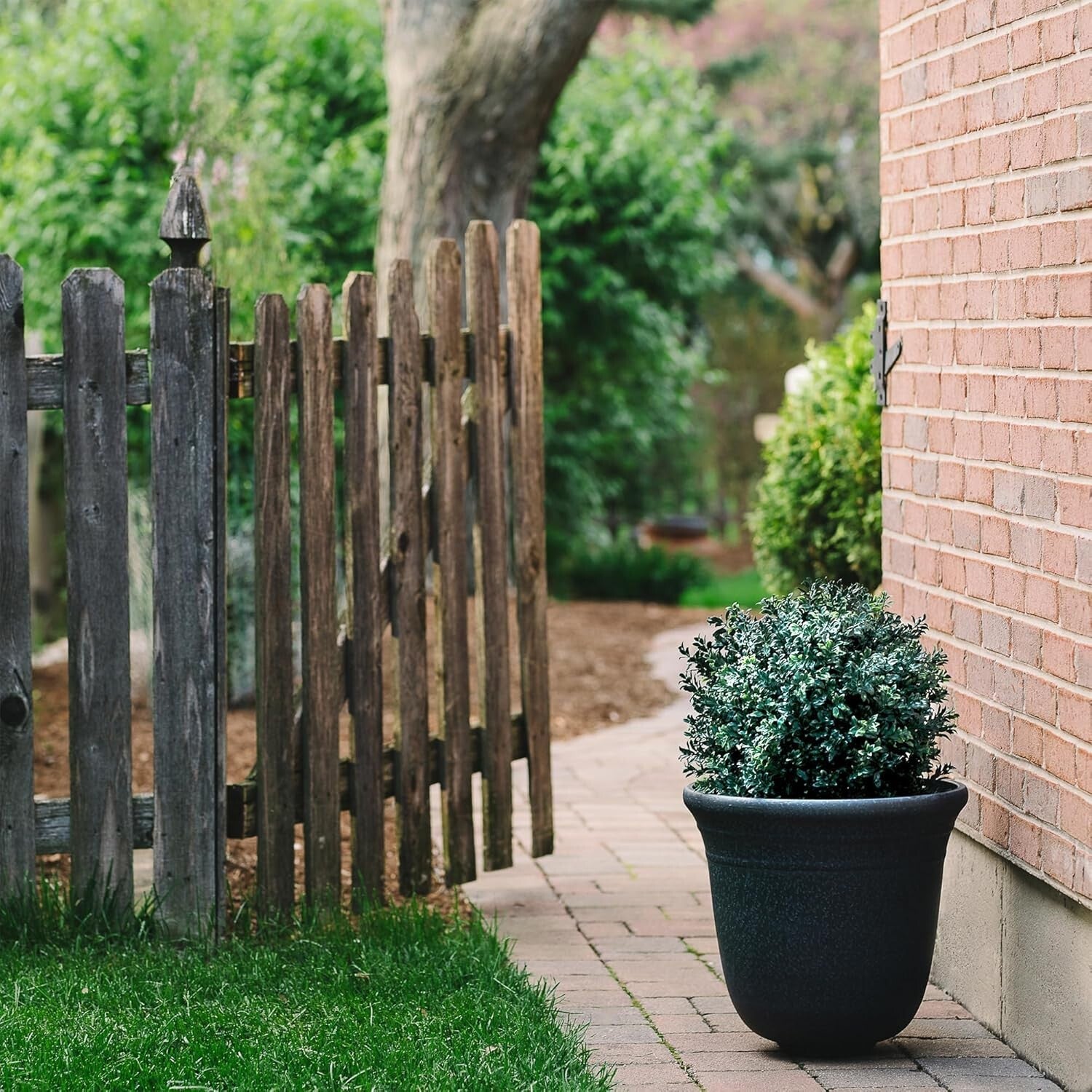 Decorative Pre-Potted Boxwood Topiary Set - 24-Inch Elegance for All Seasons