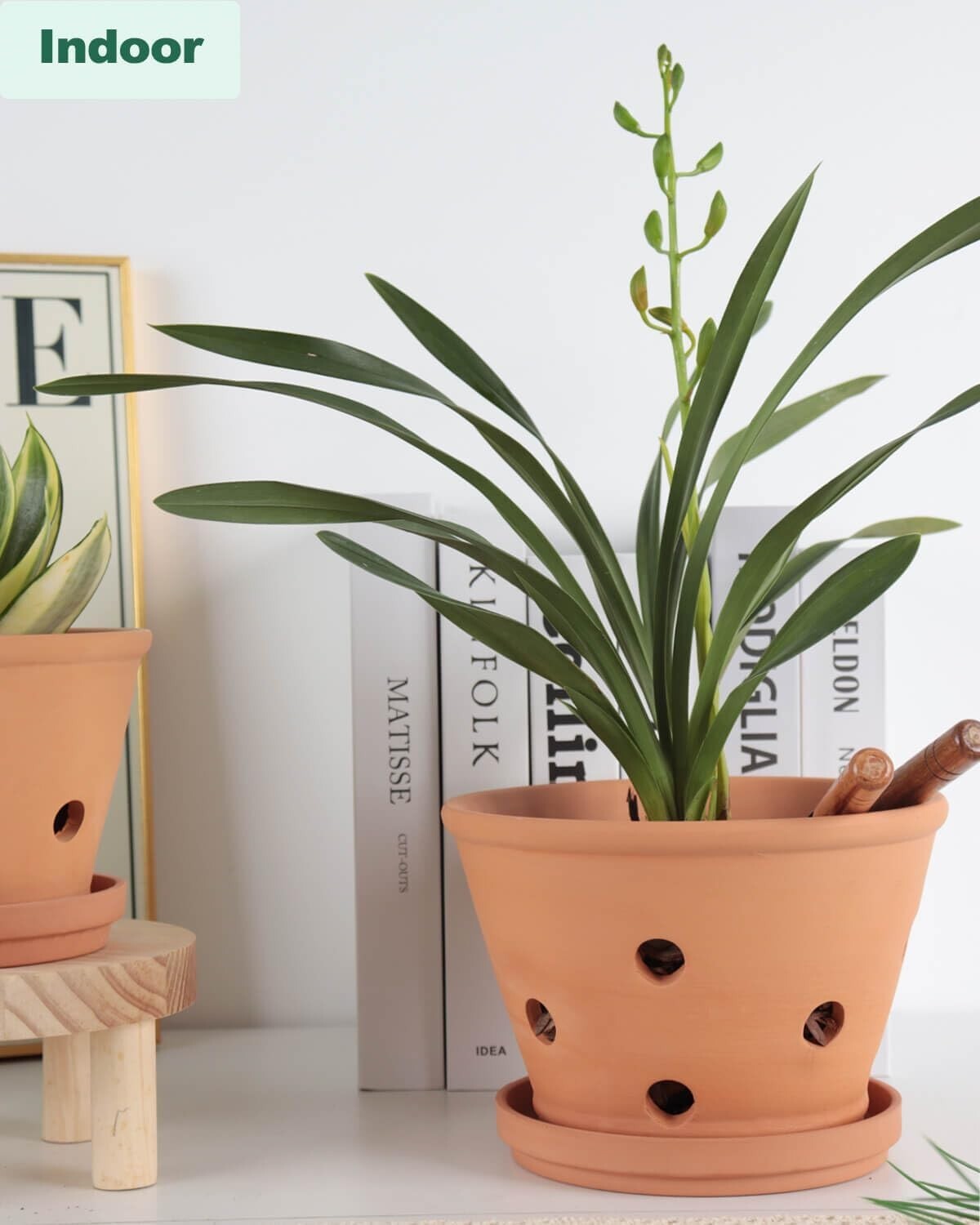 Classic 8-Inch Terracotta Plant Pots with Breathing Holes – Perfect for Orchids