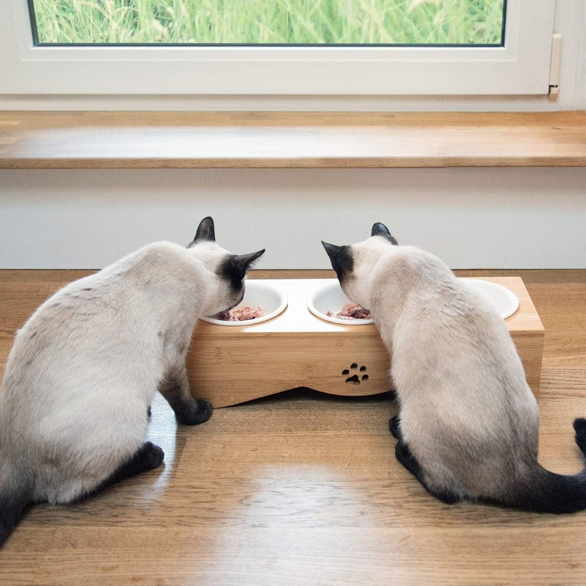 Eco-Friendly Elevated Pet Bowl Set - 3 Ceramic Dishes in Bamboo Stand for Cats