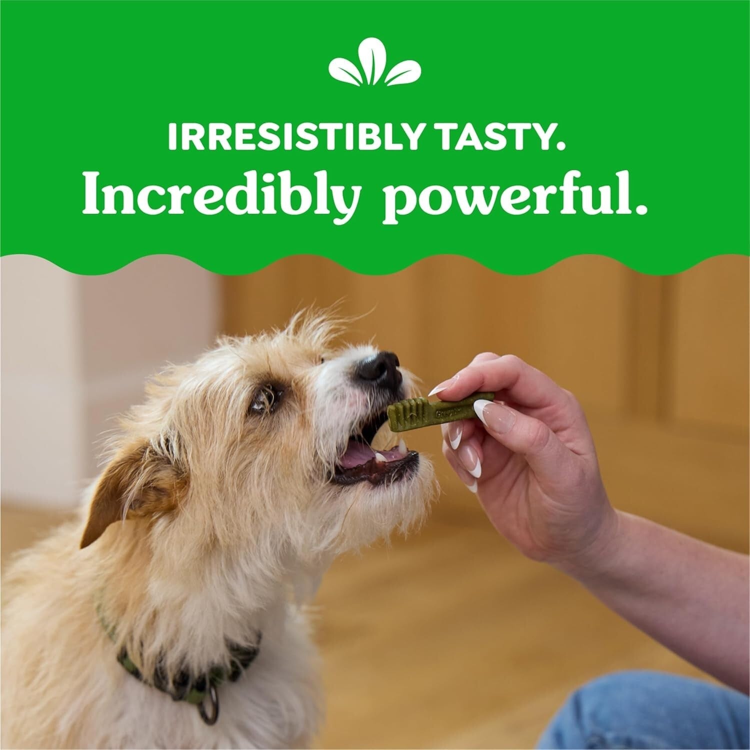 54 oz. Original Flavor Dental Chews for Small Dogs - 192 Count Healthy Treats