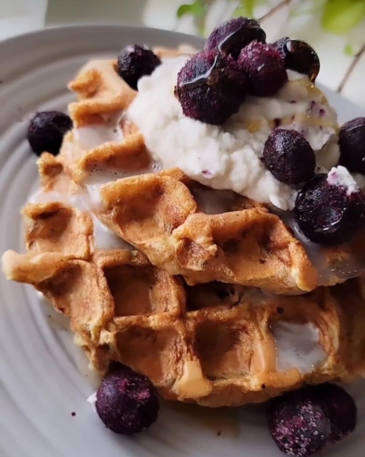 Delicious Blueberry Pancake & Waffle Mix - Family Size, 14 oz Pouches, Pack of 6