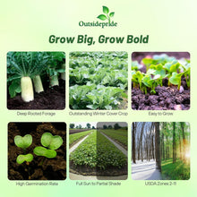 Load image into Gallery viewer, Drought Tolerant 10 lbs. Daikon Radish Seeds - Improve Soil &amp; Grow Fresh Veggies