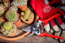 Load image into Gallery viewer, Swiss-Made Pruning Shears: Lightweight Garden Scissors with Steel Blade