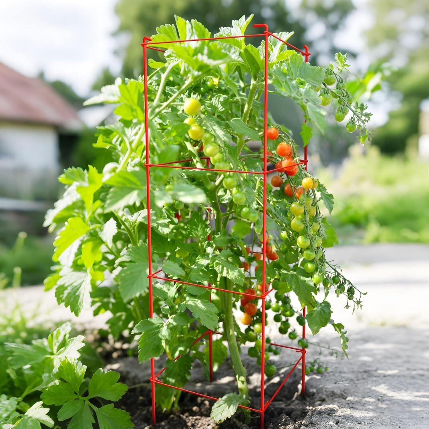 Durable Tomato Cages 6 Pack with Twist Ties - 46” Red Plant Stand Support