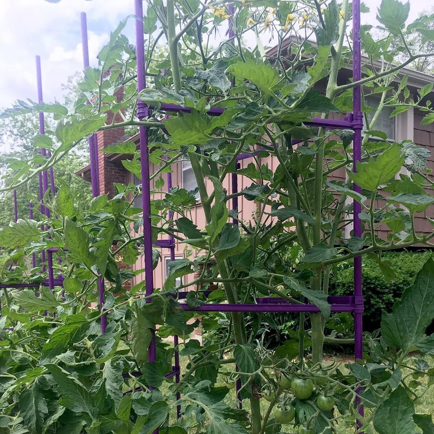 Triangular Tomato Cage Set - 73” Adjustable Garden Stakes for Plant Support