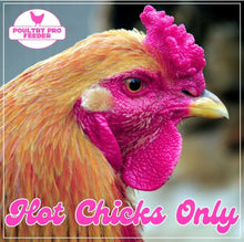 Load image into Gallery viewer, Original DIY PVC Gravity Fed Chicken Feeder Kit with 3 Ports - Made in USA