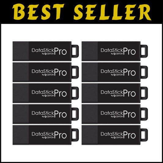 DataStick Pro 256GB Flash Drive - High-Speed USB 3.0 for Efficient Data Transfer