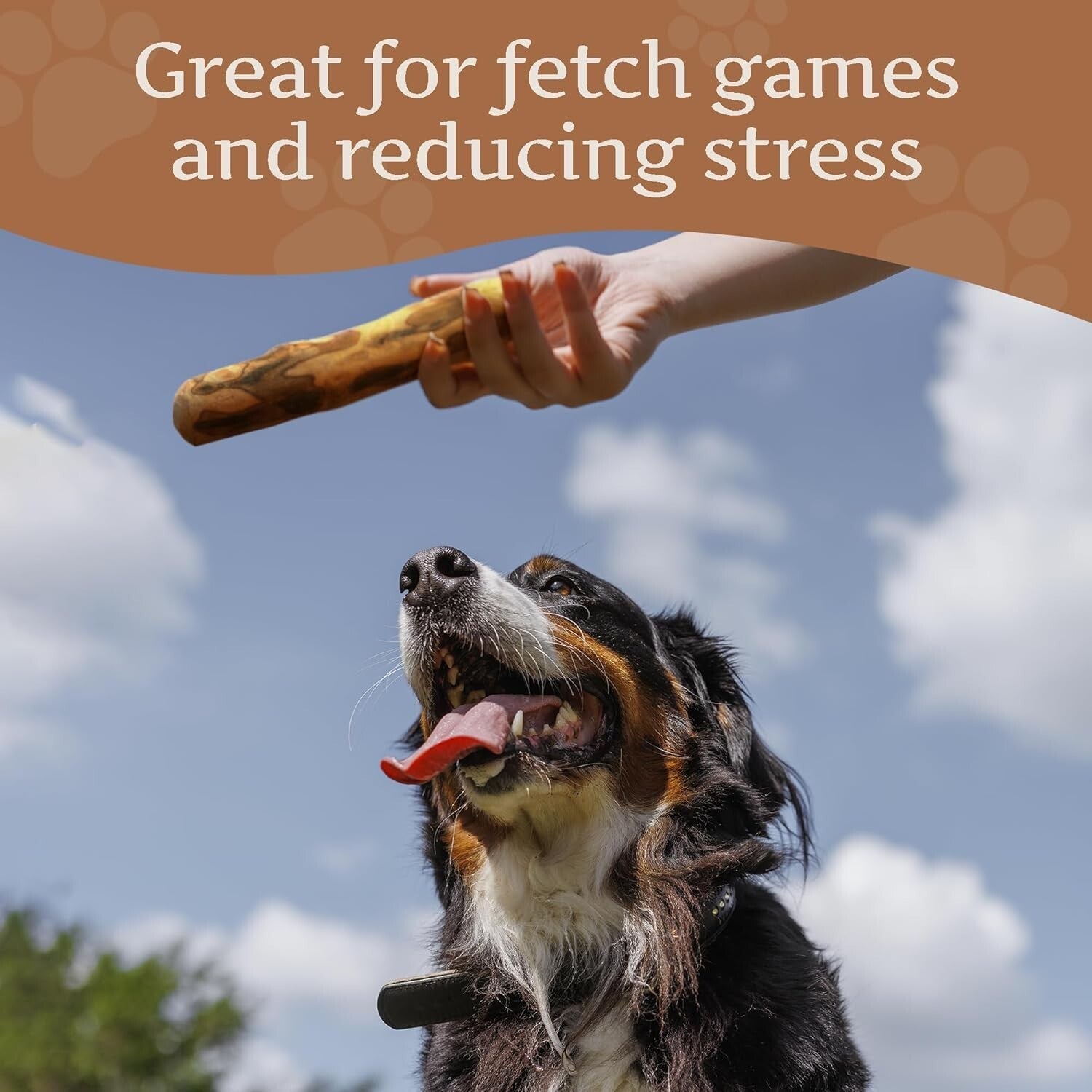 Long-Lasting Olive Wood Dog Chew with Olive Oil - Promotes Dental Health