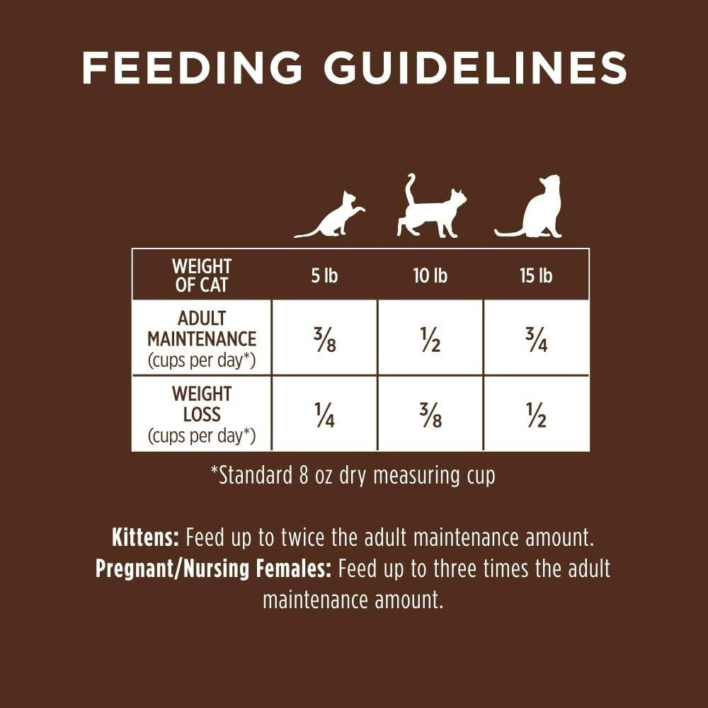 10 lb Salmon Kibble - Natural Grain-Free Dry Food for All Cats, High Protein