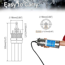 Load image into Gallery viewer, Durable Stainless Steel 12V DC Well Pump - Ideal for Livestock and Irrigation