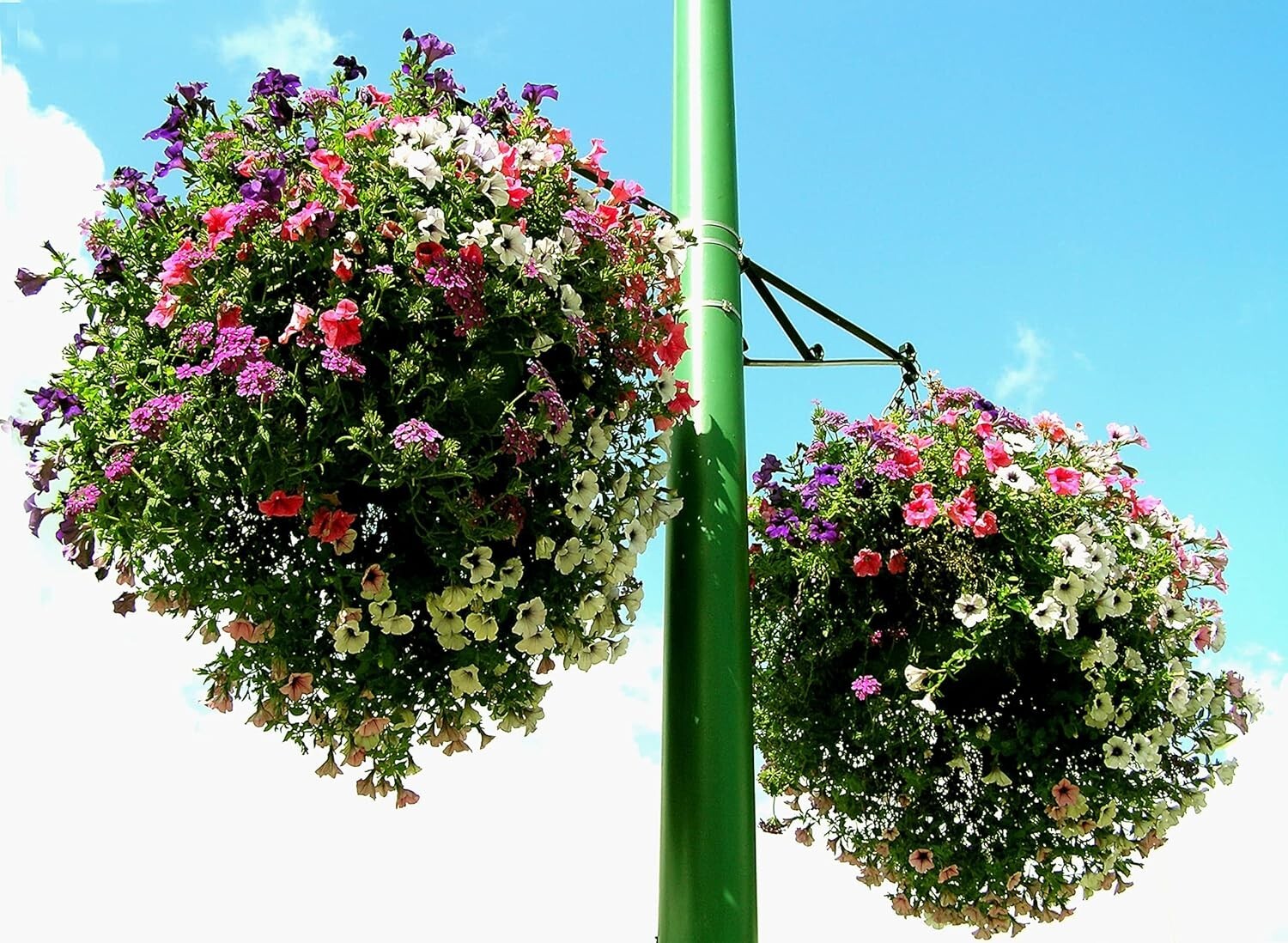 Indoor & Outdoor Plant Care Solution - 3 lb Granules Reduce Watering by 50%