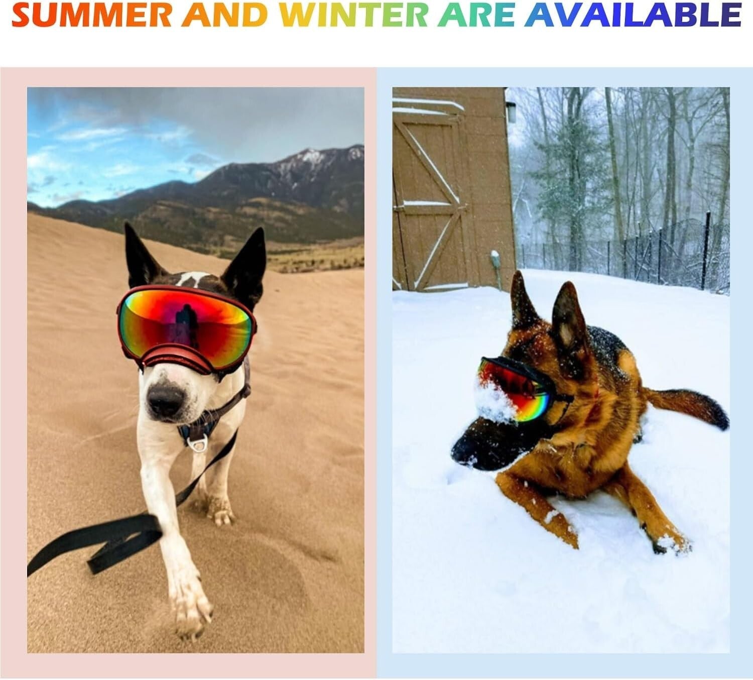 Large Adjustable Dog Sunglasses with UV Protection - Windproof Pet Eyewear