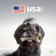 Load image into Gallery viewer, Flavor-Packed Large 4-Pack Dog Chew Toys - Perfect for Active Chewers