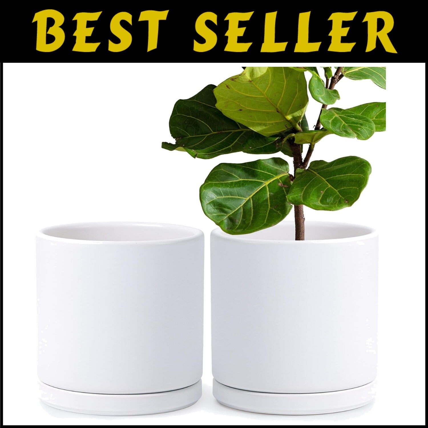 Premium Round Ceramic Planter Pots - 10 Inch with Saucer & Drainage System