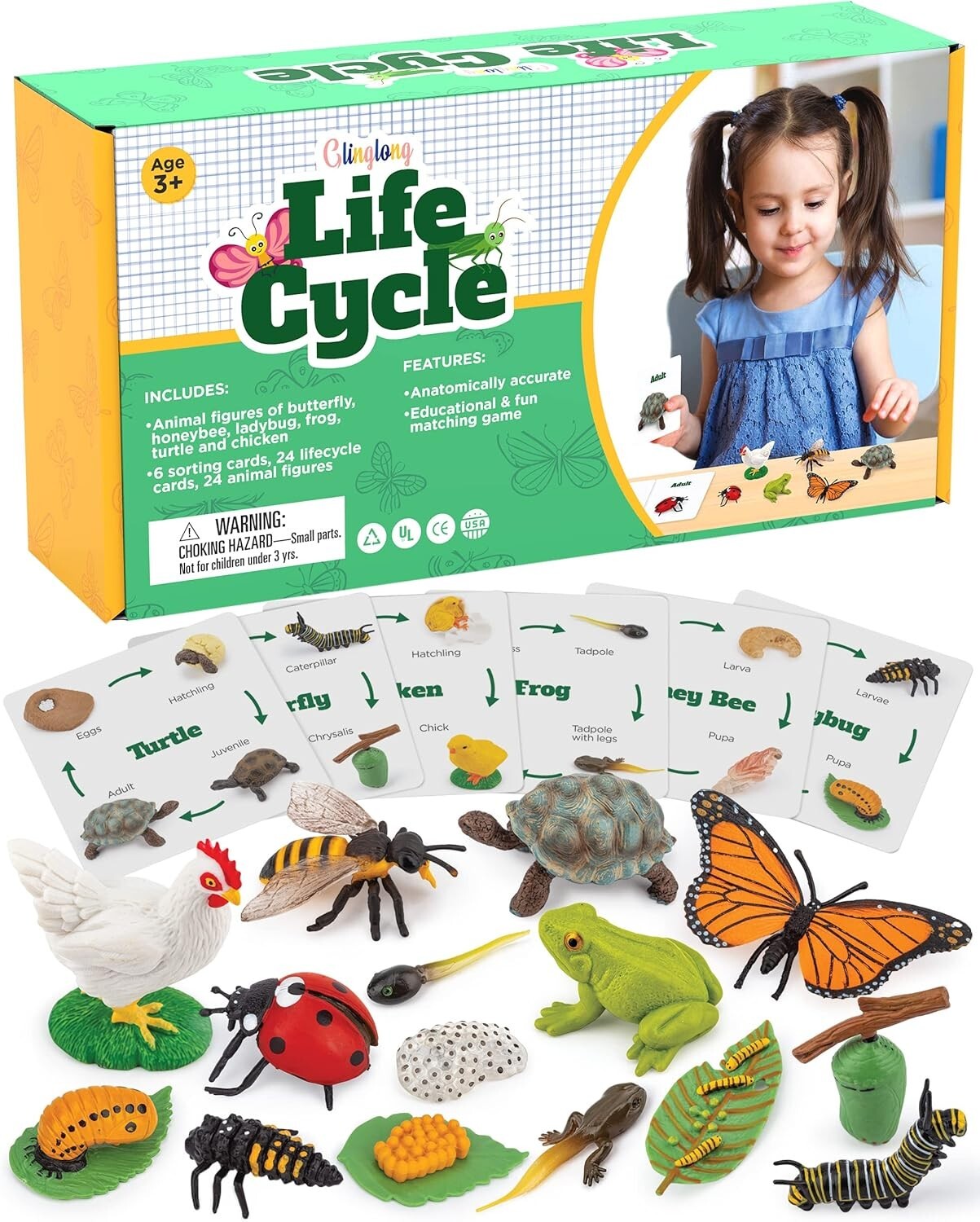 Engaging Montessori Animal Life Cycle Kit – 3D Matching Game for Young Learners