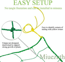 Load image into Gallery viewer, UV Stabilized Garden Trellis Netting for Tomatoes &amp; Vines - 2-Pack 32.8' x 6.6'
