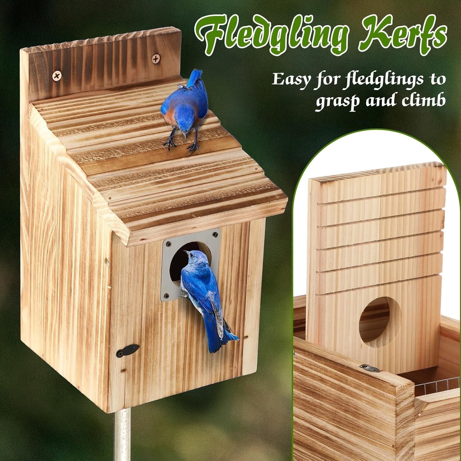 4-Pack Cedar Birdhouses with Metal Guard - Attractive Bluebird Nesting Homes