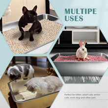 Load image into Gallery viewer, Eco-Friendly Large Cat Litter Pan - Stain-Free, Easy to Clean, Safe Design