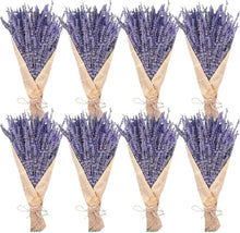 Load image into Gallery viewer, 8 Bundles of 16" Dried Lavender Flowers - Perfect for Cozy Home Arrangements