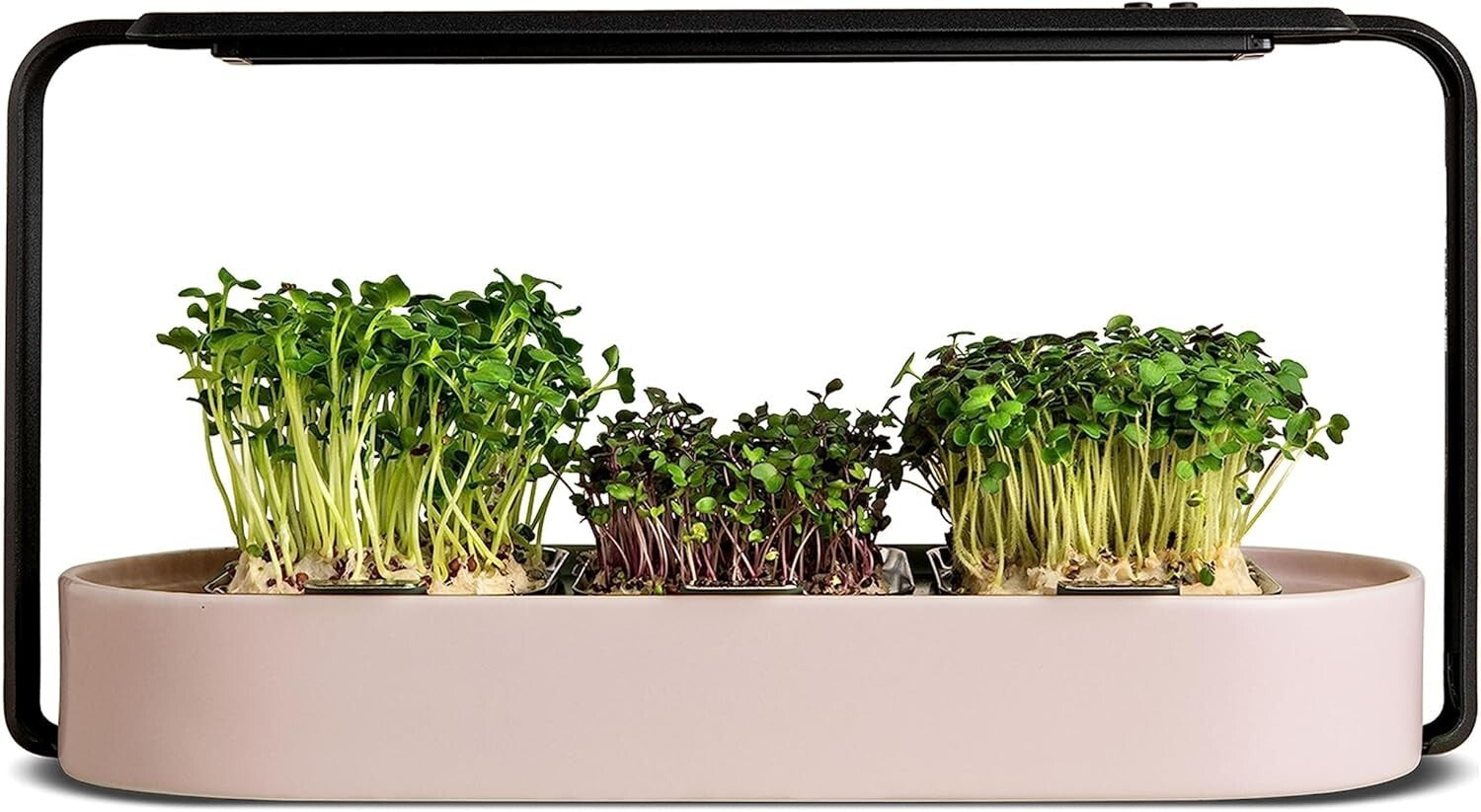 Indoor Hydroponic Microgreens Growing Kit - Eco-Friendly & Fast-Growing Solution