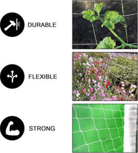 Load image into Gallery viewer, Commercial Grade Nylon Trellis Netting - 3.5 Inch Squares for Optimal Crop Yield
