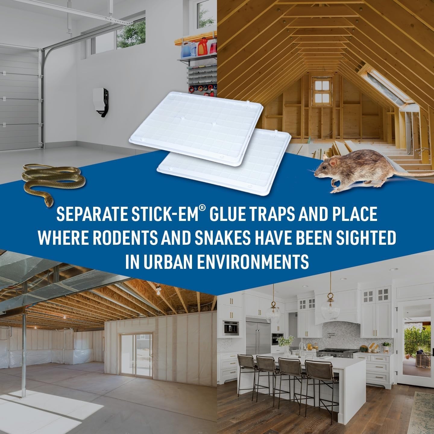 Extra-Large No-Mess Glue Traps for Rats, Mice, & Snakes - Cold Weather Ready