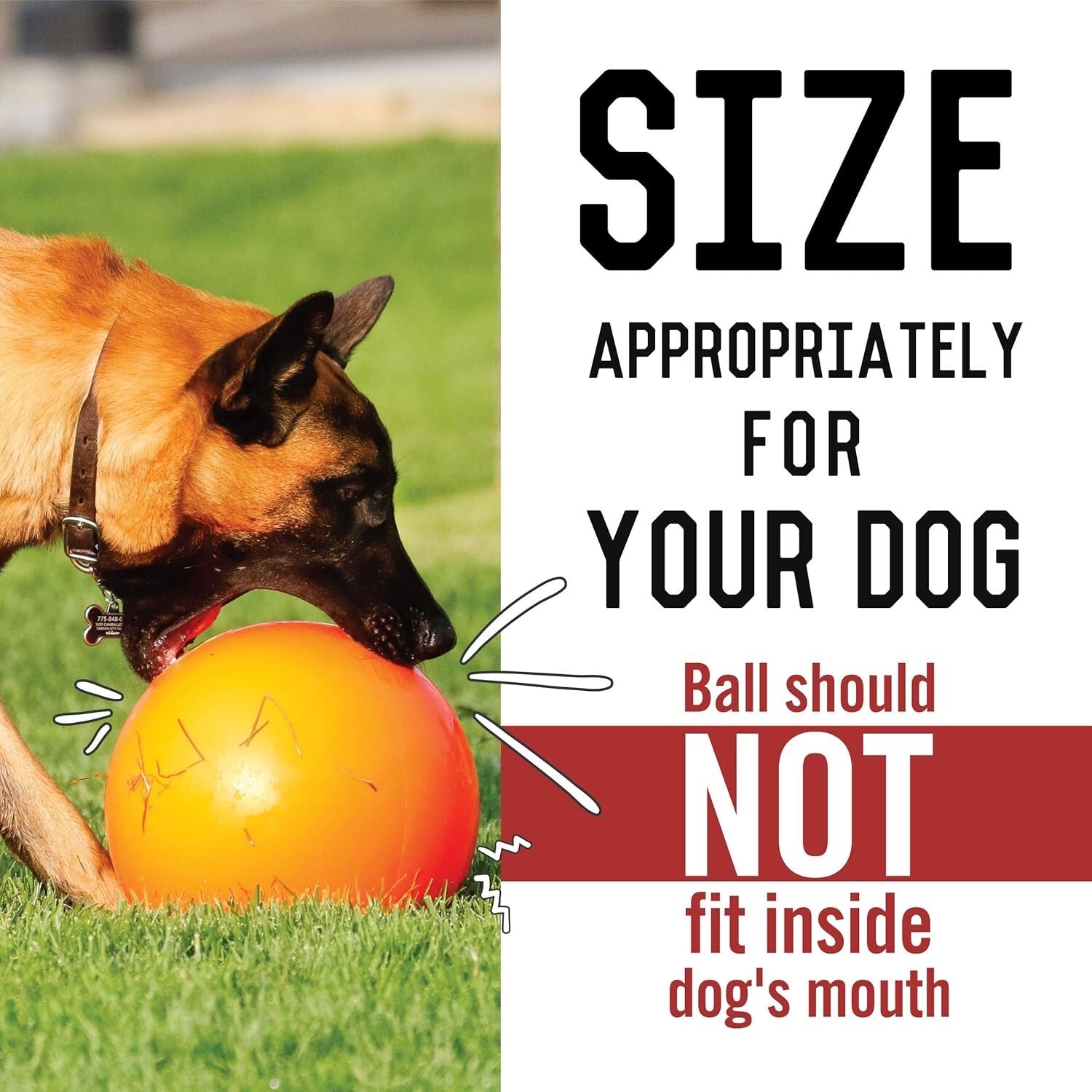 14-Inch Floatable Hard Plastic Dog Ball - Perfect for Push and Herding Play