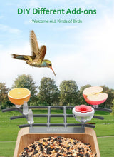 Load image into Gallery viewer, Solar Powered Bird Feeder with AI Camera - Capture Bird Moments in 1080P HD